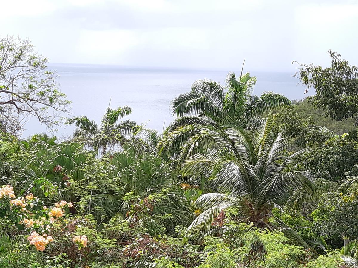 Domaine Choco Vanille Deshaies Buitenkant foto