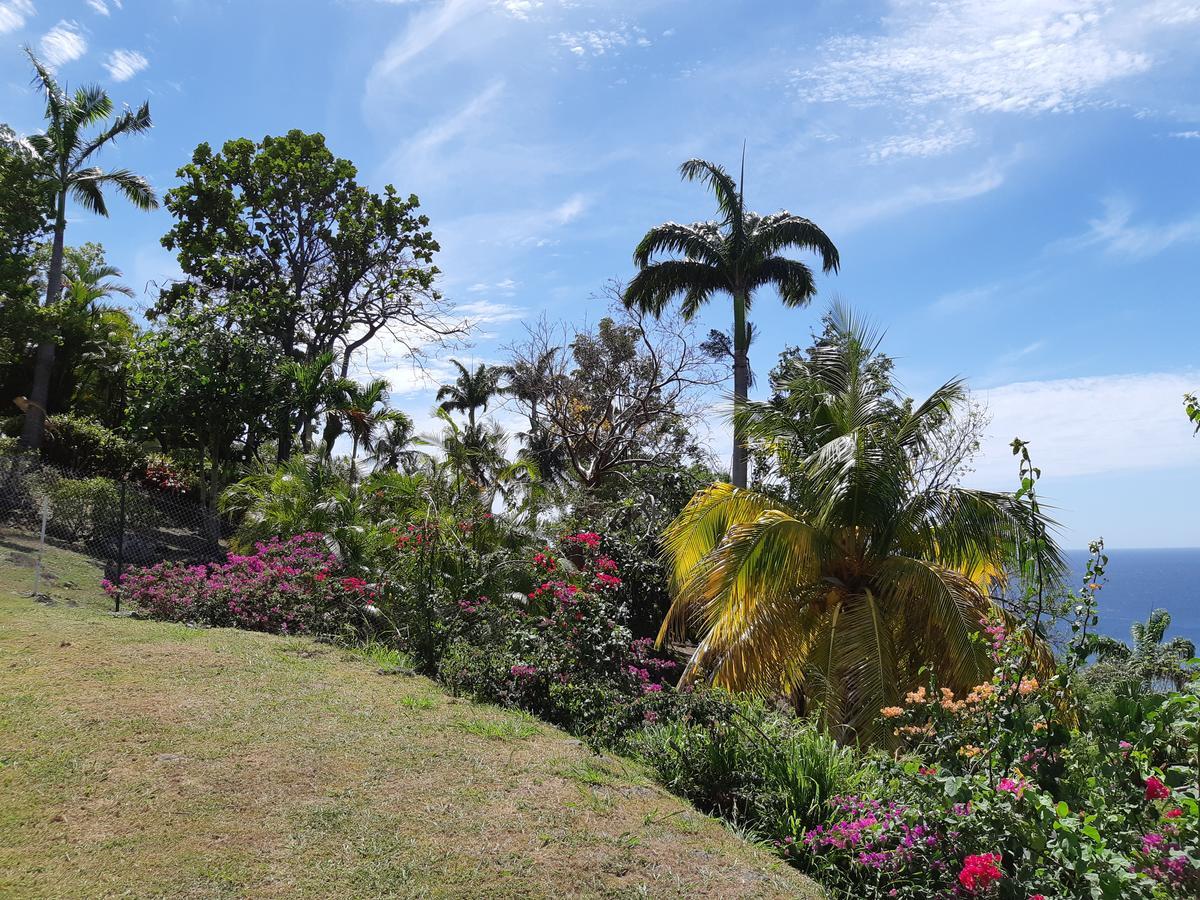 Domaine Choco Vanille Deshaies Buitenkant foto